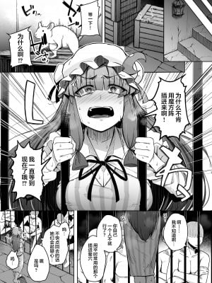 [自家発電処 (flanvia)] 穴とむっつりどすけべだいとしょかん 5 (東方Project) [小狐狸委托汉化] [DL版]_05