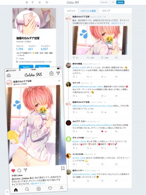 [AliceFlag (よろず)] ちょっぴりHなカルデアSNS (Fate／Grand Order)  [DL版]_28