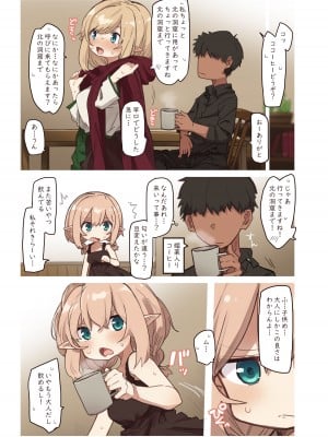 [いーすとはうす (パン☆工場)] エルフの姉妹達。_06
