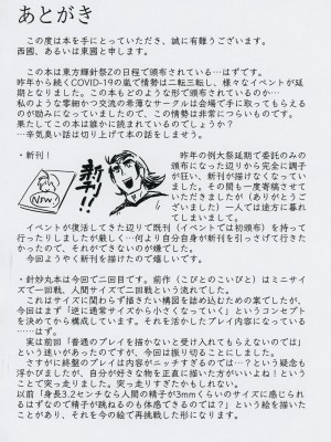 (輝針祭Z)   [東西同人舎 (西國)] 針妙丸が小さくなあれ (東方Project)_29