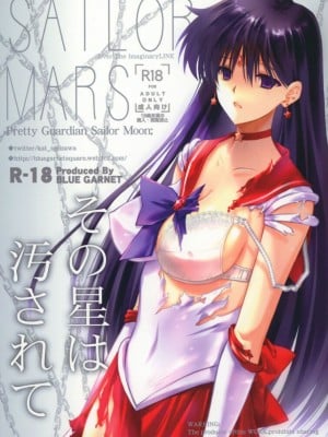 (C100) [ブルーガーネット (芹沢克己)] その星は汚されて (美少女戦士セーラームーン) [不咕鸟汉化]