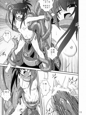 (コミコミ13) [夜の勉強会 (ふみひろ)] Mercurius (シスタープリンセス) [中国翻訳]_11