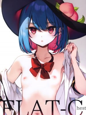 (例大祭20) [劇毒少女 (ke-ta)] FLAT-Chest (東方Project)