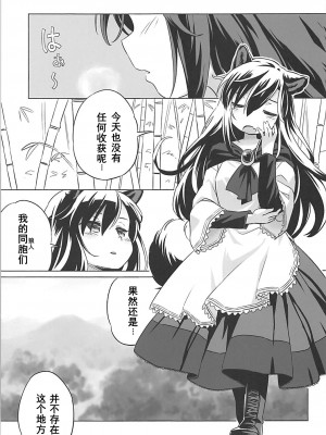 (例大祭15) [Animal Passion (茹でピー)] ウルフプレジャー (東方Project) [中国翻訳]_04