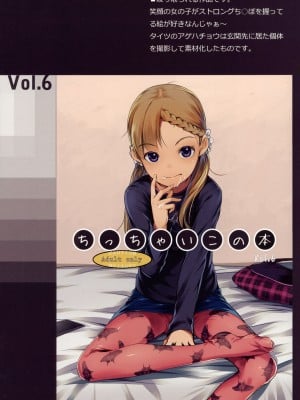(C91) [SLeeVe (Sody)] ちっちゃいこの本 Vol.6 [还没想好名字个人汉化]