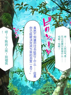 [一億万軒茶屋] 「感度1000倍」で異世界ハーレム[中国翻訳]_229