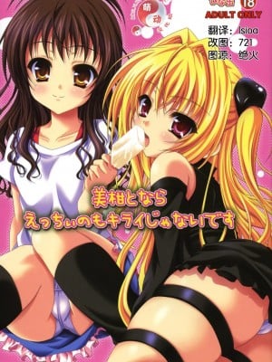 [萌动汉化组] (C74) [ひな缶 (霧嶋ひなた)] 美柑えっちぃのもキライじゃないです (ToLoveる)
