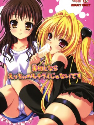 [萌动汉化组] (C74) [ひな缶 (霧嶋ひなた)] 美柑えっちぃのもキライじゃないです (ToLoveる)_01