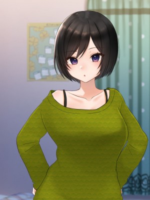 [きれいなお姉さんは好きです会] 妹と内緒の子作り生活。排卵日は中出しだよ_156