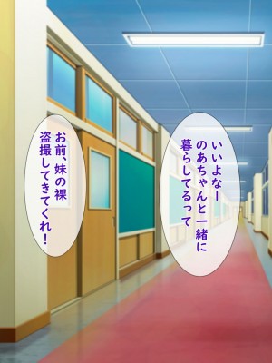 [きれいなお姉さんは好きです会] 妹と内緒の子作り生活。排卵日は中出しだよ_006