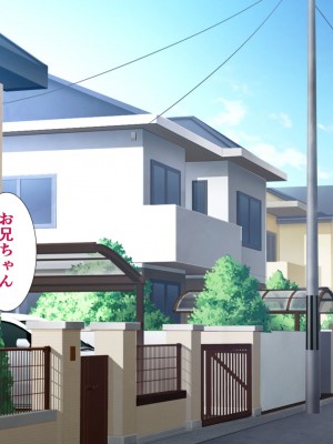 [きれいなお姉さんは好きです会] 妹と内緒の子作り生活。排卵日は中出しだよ_066