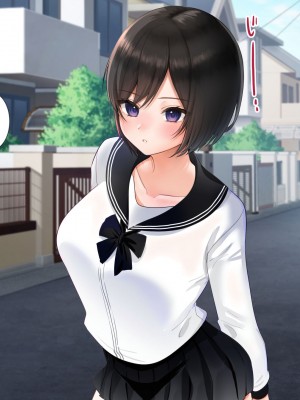 [きれいなお姉さんは好きです会] 妹と内緒の子作り生活。排卵日は中出しだよ_016