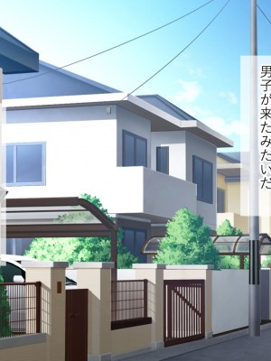 [きれいなお姉さんは好きです会] 妹と内緒の子作り生活。排卵日は中出しだよ_070
