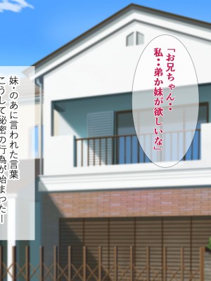 [きれいなお姉さんは好きです会] 妹と内緒の子作り生活。排卵日は中出しだよ_003