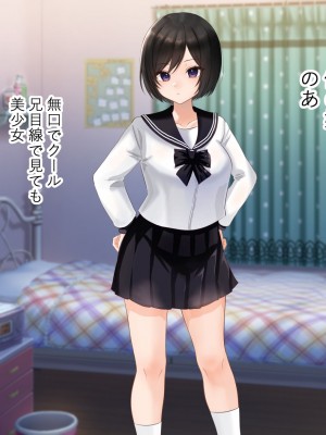 [きれいなお姉さんは好きです会] 妹と内緒の子作り生活。排卵日は中出しだよ_005