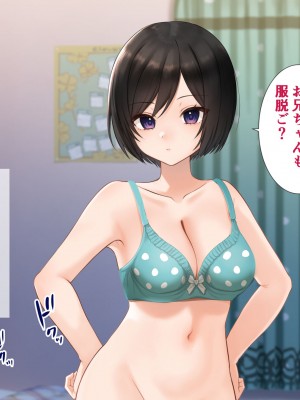 [きれいなお姉さんは好きです会] 妹と内緒の子作り生活。排卵日は中出しだよ_026