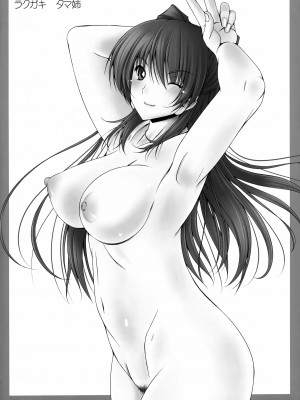 (C84) [cocon! (音音)] ひと夏の姉 (IS＜インフィニット・ストラトス＞)_6