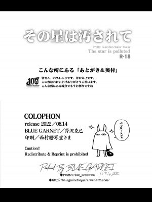 [ブルーガーネット (芹沢克己)] その星は汚されて (美少女戦士セーラームーン) [胸垫汉化组]_03