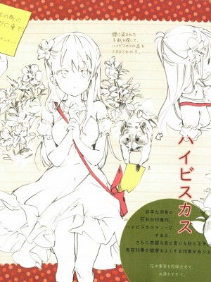 (C94) [メガネ少女 (Anmi)] The teabag catalogue Complete edition[白杨汉化组]_IMAG0029