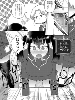 [スタンダードアザラシ] 大丈夫。実妹の攻略本だよ。[DL版]_102