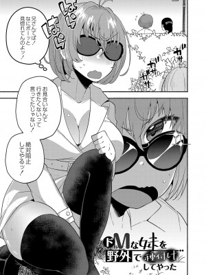 [スタンダードアザラシ] 大丈夫。実妹の攻略本だよ。[DL版]_038