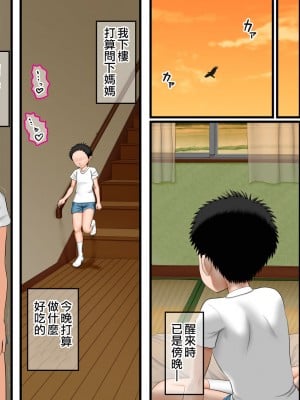 [AIM] ボクがイトコを嫌いになれない話～ある夏休みの性事情～ [surely个人汉化]_020