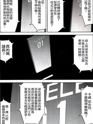 (C71) [天狗のつづら (黒てんぐ)] A wild fancy (新世紀エヴァンゲリオン) [中国翻訳]_05