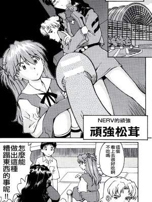 (C71) [天狗のつづら (黒てんぐ)] A wild fancy (新世紀エヴァンゲリオン) [中国翻訳]_08