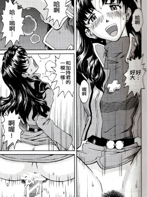 (C71) [天狗のつづら (黒てんぐ)] A wild fancy (新世紀エヴァンゲリオン) [中国翻訳]_15
