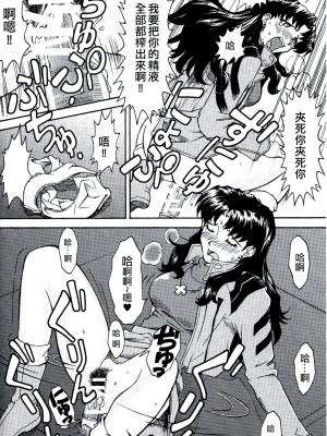 (C71) [天狗のつづら (黒てんぐ)] A wild fancy (新世紀エヴァンゲリオン) [中国翻訳]_20