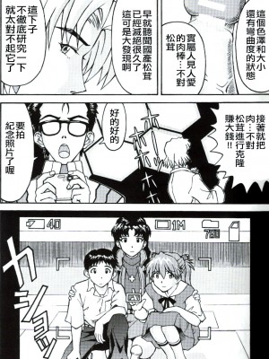 (C71) [天狗のつづら (黒てんぐ)] A wild fancy (新世紀エヴァンゲリオン) [中国翻訳]_09