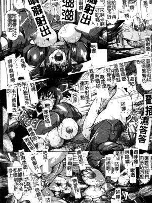 [TAKE] ブレイブメイデン 姦淫散華 [中文]_039