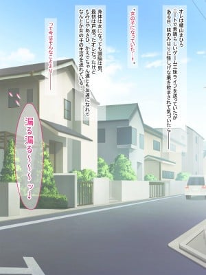 [女騎士の城 (雪味あいりす)] オナニーでパーになって処女卒業し、変態生配信するTS美少女ちゃん (ちゃんはおしまい!)_011