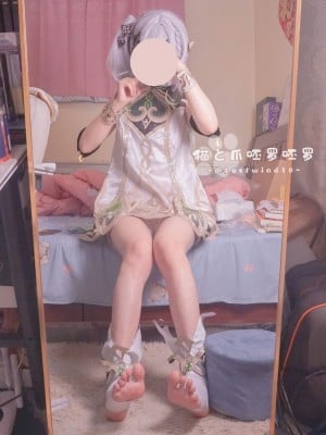 猫と爪呸罗呸罗-纳西妲_2453308-cec8b9a120-00000005