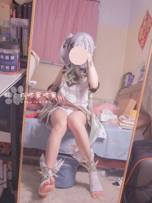 猫と爪呸罗呸罗-纳西妲_2453308-cec8b9a120-00000014
