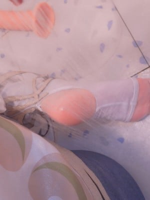猫と爪呸罗呸罗-纳西妲_2453308-cec8b9a120-00000095