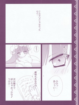 (C76) [きのこのみ (kino)] ぱちゅりーのお勉強 (東方Project)_024