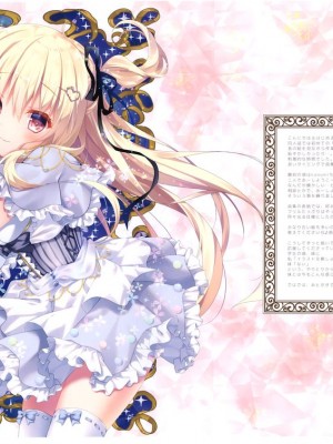 (C93) [きのこのみ(kino)(konomi)] きのこ王国_002