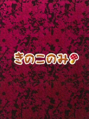 (COMIC1☆6) [きのこのみ (kino)] 召しませ小悪魔2 (東方Project)_024