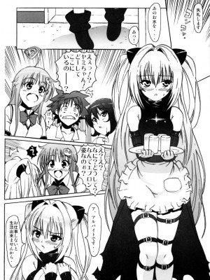 (C79) [Number2 (たくじ)] ハメとら☆フル+ (To LOVEる -とらぶる-)_013