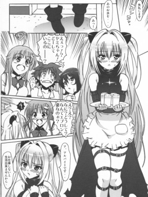 (COMIC1) [Number2 (たくじ)] はめトラっ (ToLOVEる-とらぶる-)_011