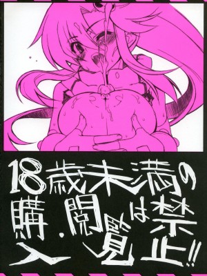 (コミコミ11) [CHIBIKKO KINGDOM (けこちゃ)] キミにSPIN ON! (天元突破グレンラガン)_018