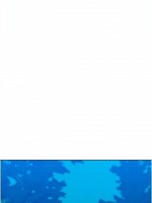 友情萬睡 38-39話_38_10