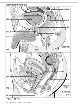 (成年コミック) [雑誌] 基礎から学ぶアナルオーガズム_015
