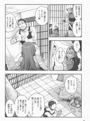 (C100) [マダム・プロジェクト (晴永牧兎)] 元凶 ～Cabecilla～ 5 (ドラゴンクエストIV)_15