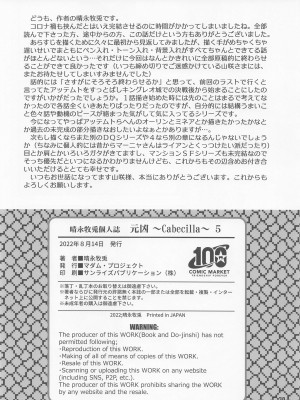 (C100) [マダム・プロジェクト (晴永牧兎)] 元凶 ～Cabecilla～ 5 (ドラゴンクエストIV)_29
