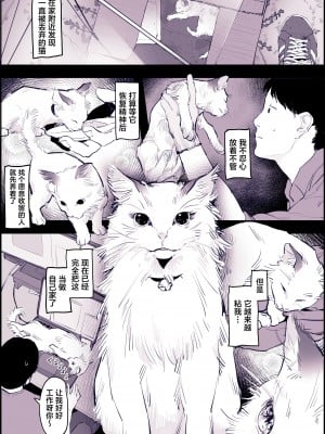 [ぽりうれたん] ねこ [中国翻訳] [無修正]