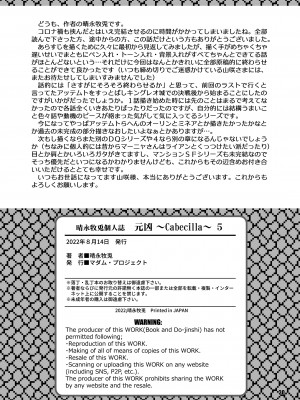 [マダム・プロジェクト (晴永牧兎)] 元凶 ～Cabecilla～ 5 (ドラゴンクエストIV) [DL版]_30