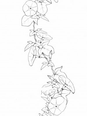 [ぽち小屋。 (ぽち。)] 姉なるもの 5 [中国翻訳] [無修正]_03