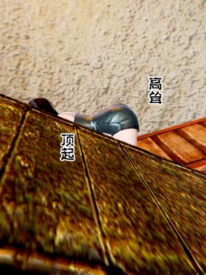 借你娘子泄泄火 第一章 至 第五章_[TOC]-04-252